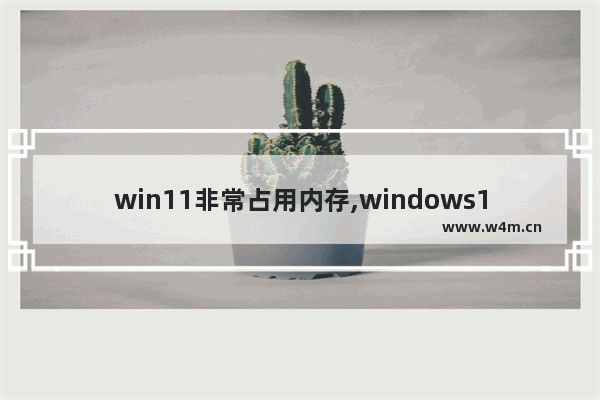 win11非常占用内存,windows11内存