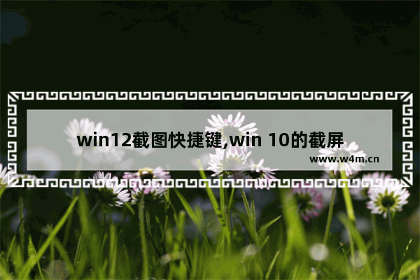 win12截图快捷键,win 10的截屏快捷键是什么