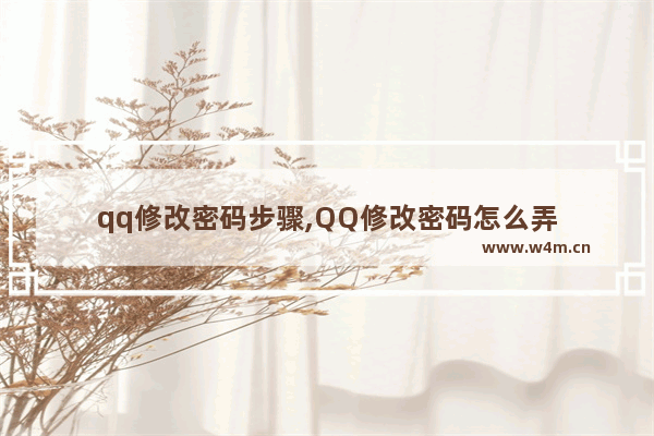 qq修改密码步骤,QQ修改密码怎么弄