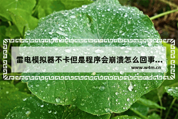 雷电模拟器不卡但是程序会崩溃怎么回事,雷电模拟器不卡但是程序会崩溃什么原因