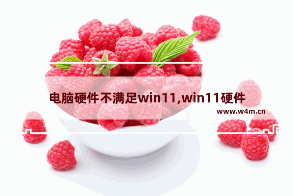 电脑硬件不满足win11,win11硬件不支持怎么办