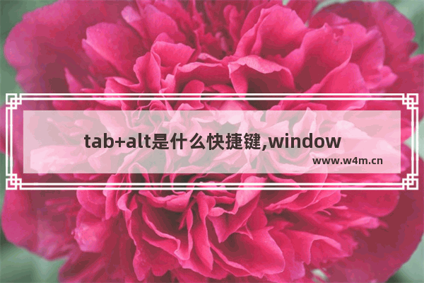 tab+alt是什么快捷键,windows+tab是什么快捷键