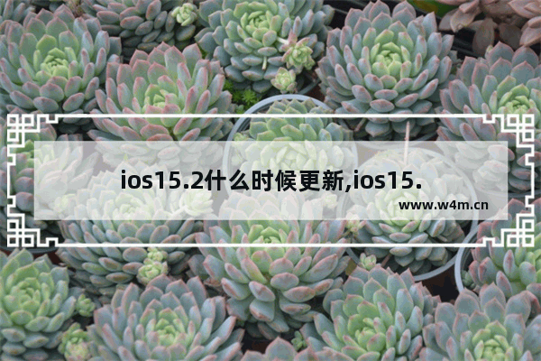 ios15.2什么时候更新,ios15.03什么时候更新