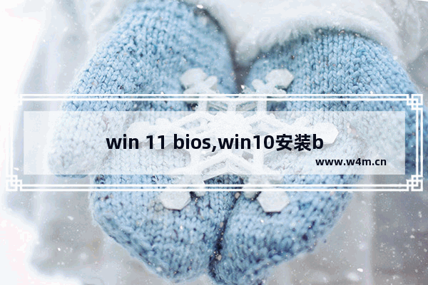 win 11 bios,win10安装bios设置方法