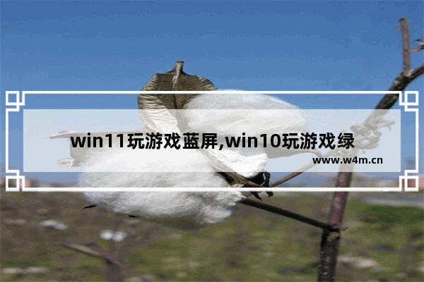 win11玩游戏蓝屏,win10玩游戏绿屏