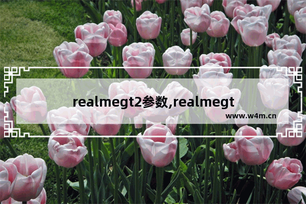 realmegt2参数,realmegt2什么时候出