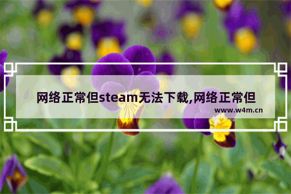 网络正常但steam无法下载,网络正常但steam无法连接服务器118