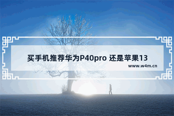 买手机推荐华为P40pro 还是苹果13,苹果13pro和华为p40pro+哪个好