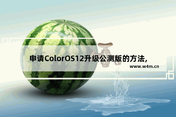 申请ColorOS12升级公测版的方法,coloros11升级公测