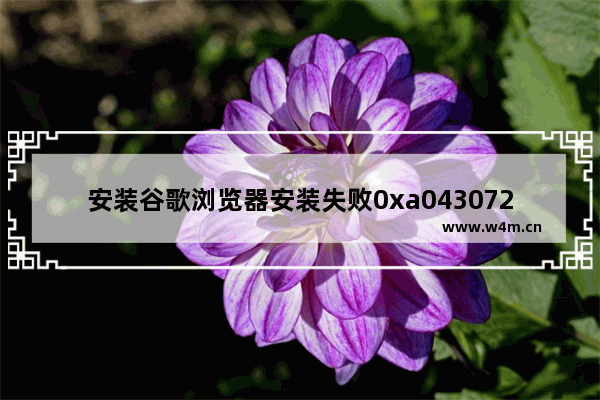 安装谷歌浏览器安装失败0xa0430721,谷歌安装0xa0430721