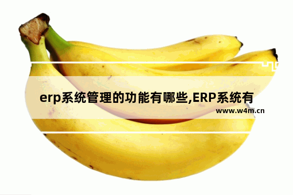 erp系统管理的功能有哪些,ERP系统有什么作用