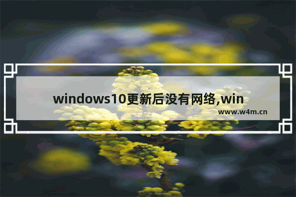 windows10更新后没有网络,win10更新后网络没了