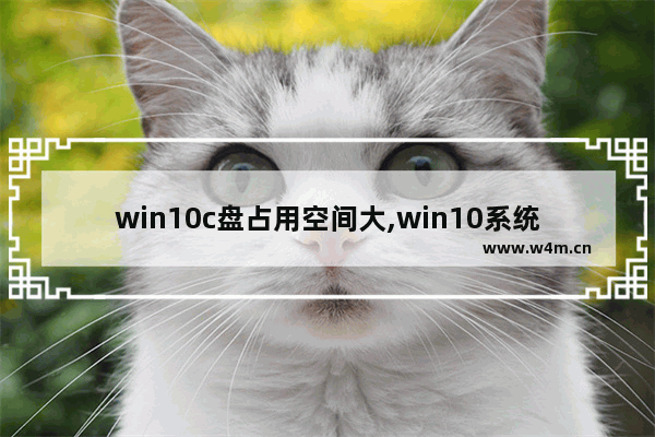 win10c盘占用空间大,win10系统占c盘多大