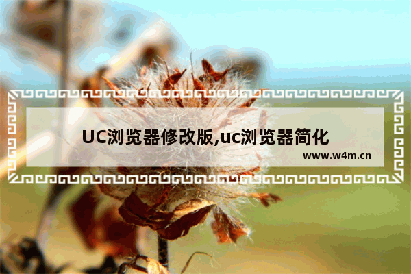 UC浏览器修改版,uc浏览器简化