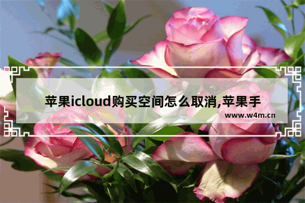 苹果icloud购买空间怎么取消,苹果手机icloud储存空间购买取消