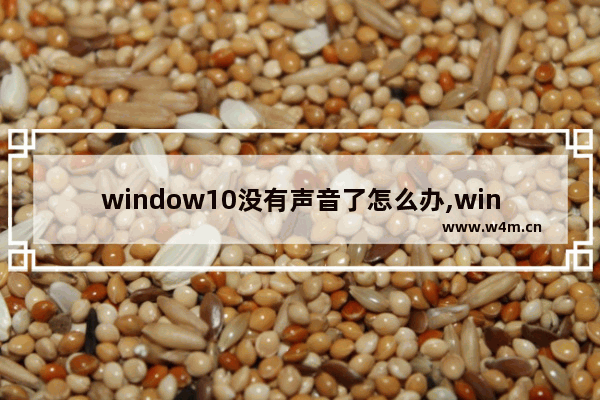 window10没有声音了怎么办,win10系统声音没有了怎么办