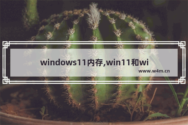 windows11内存,win11和win10内存占用