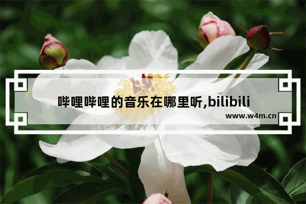 哔哩哔哩的音乐在哪里听,bilibili音乐位置