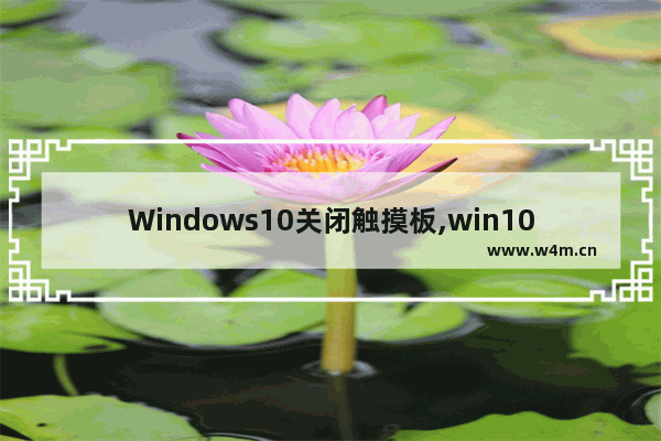 Windows10关闭触摸板,win10怎样关闭触摸板