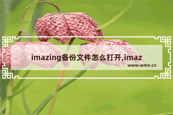 imazing备份文件怎么打开,imazing单独备份