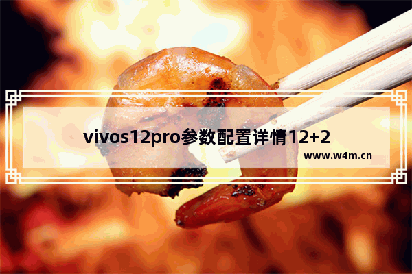 vivos12pro参数配置详情12+256,vivos12pro参数配置详情-