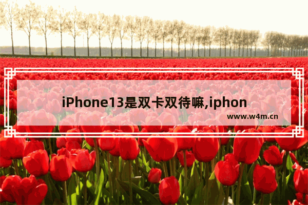 iPhone13是双卡双待嘛,iphone13是双卡双待么