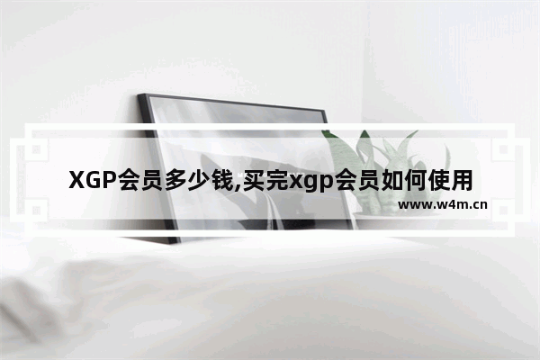 XGP会员多少钱,买完xgp会员如何使用