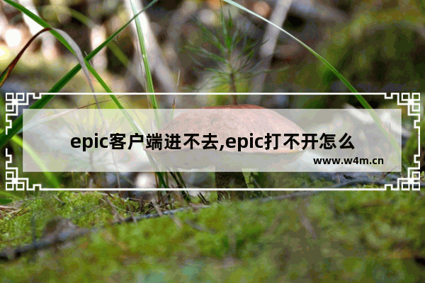 epic客户端进不去,epic打不开怎么办