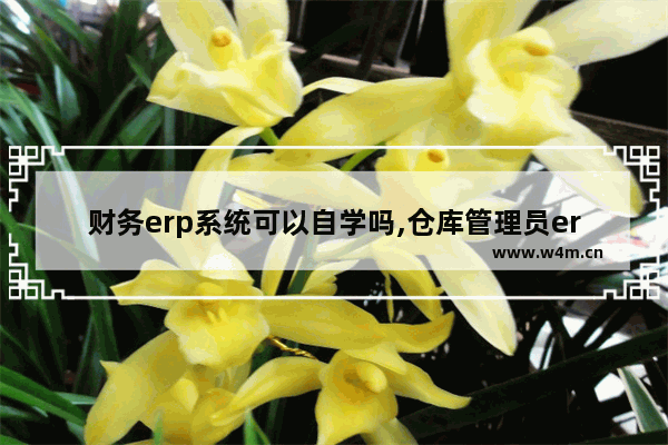 财务erp系统可以自学吗,仓库管理员erp系统可以自学吗