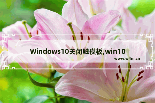 Windows10关闭触摸板,win10怎样关闭触摸板