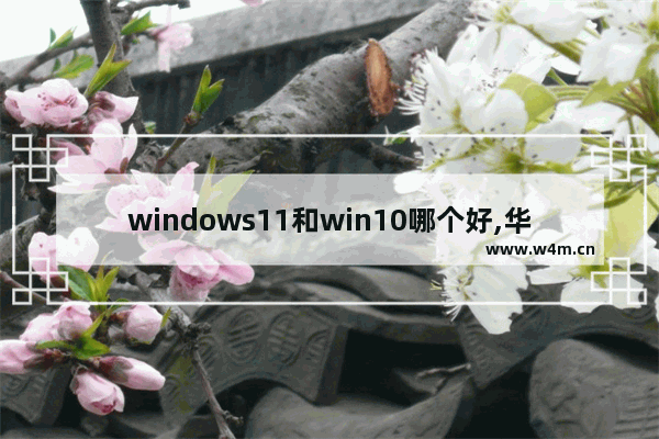 windows11和win10哪个好,华为系统10和11哪个好