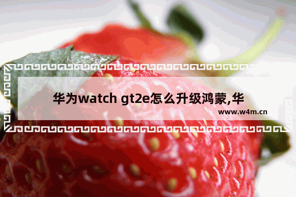 华为watch gt2e怎么升级鸿蒙,华为watchgt2e可以升级鸿蒙吗-