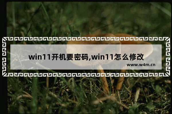 win11开机要密码,win11怎么修改开机密码