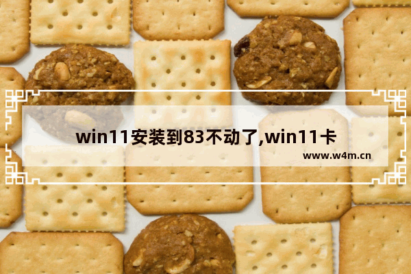 win11安装到83不动了,win11卡在85