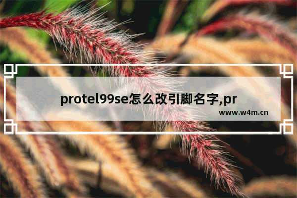 protel99se怎么改引脚名字,protel99se管脚怎么改