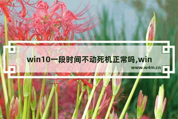 win10一段时间不动死机正常吗,win10一段时间不动就死机