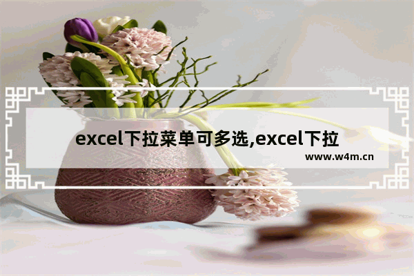 excel下拉菜单可多选,excel下拉列表如何多选