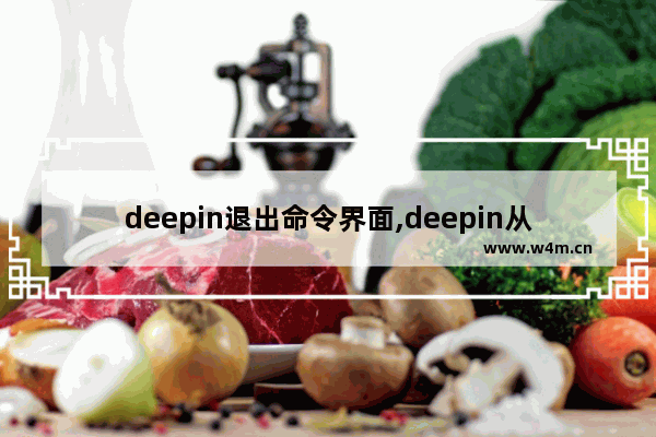 deepin退出命令界面,deepin从命令行回到桌面