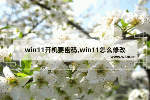 win11开机要密码,win11怎么修改开机密码