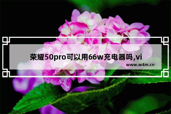 荣耀50pro可以用66w充电器吗,vivo x 60pro支持无线充电吗