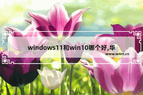 windows11和win10哪个好,华为系统10和11哪个好