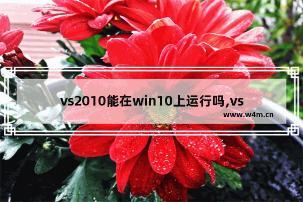 vs2010能在win10上运行吗,vs对战平台玩不了