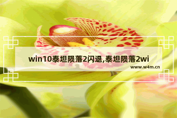 win10泰坦陨落2闪退,泰坦陨落2win10系统不支持