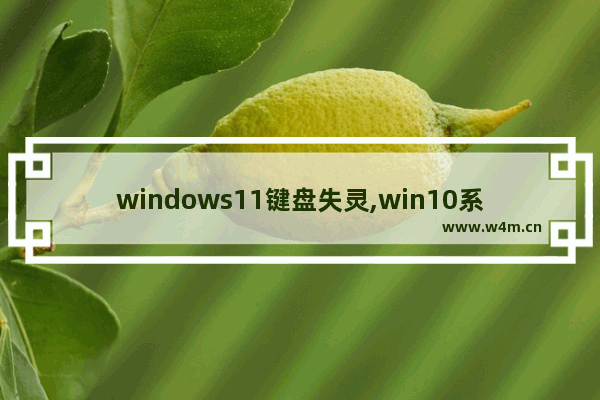 windows11键盘失灵,win10系统恢复键盘失灵