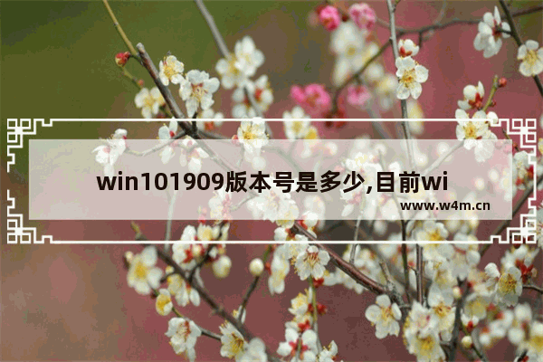 win101909版本号是多少,目前win101909