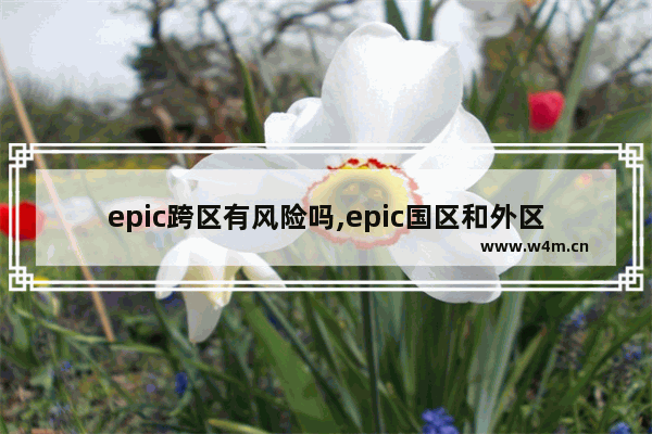 epic跨区有风险吗,epic国区和外区的区别