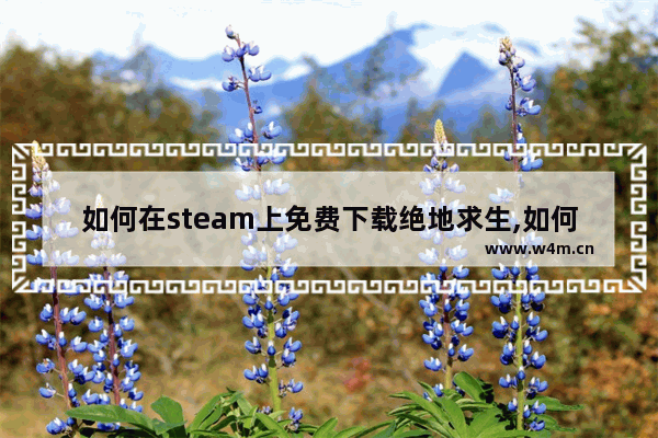 如何在steam上免费下载绝地求生,如何在steam购买绝地求生