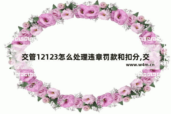 交管12123怎么处理违章罚款和扣分,交管12123怎么处理违章停车