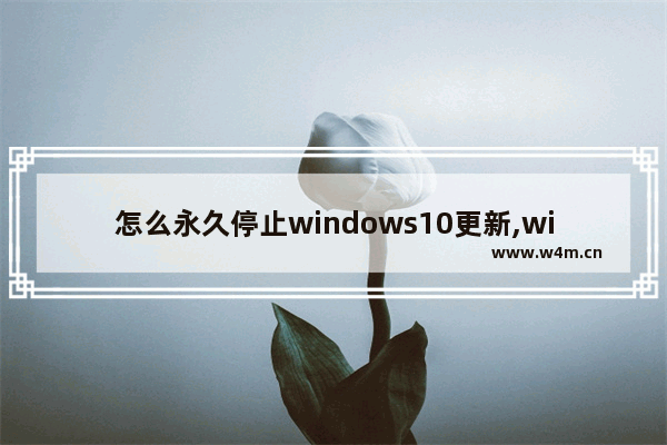 怎么永久停止windows10更新,win10永久停止更新设置