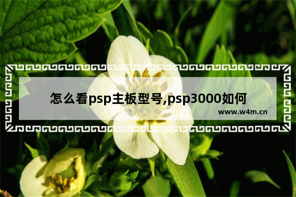 怎么看psp主板型号,psp3000如何查看主板型号